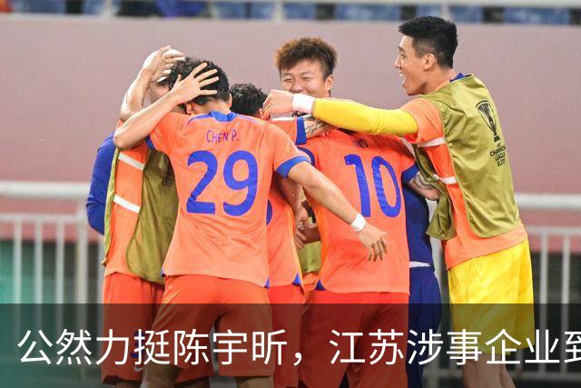 公然力挺陈宇昕，江苏涉事企业到底图个啥