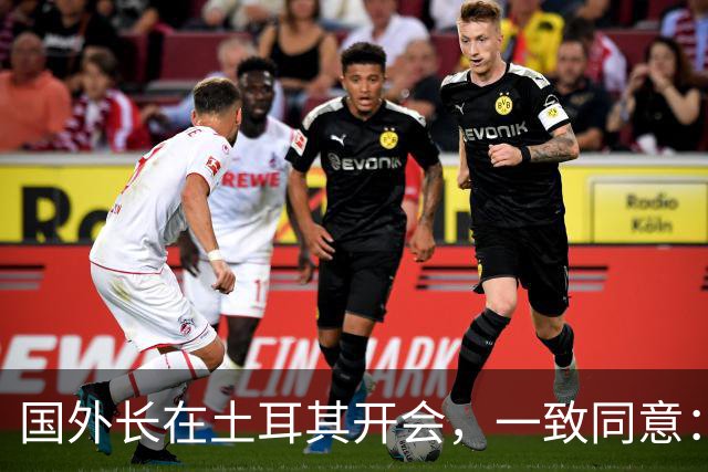 国外长在土耳其开会，一致同意：立即停战！