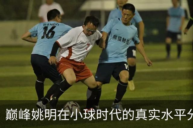 巅峰姚明在小球时代的真实水平分析