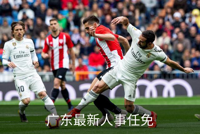 广东最新人事任免