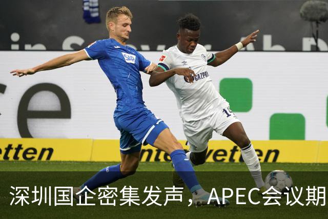深圳国企密集发声，APEC会议期间安排居家办公，休假