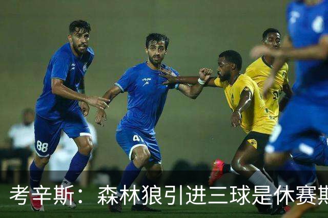 考辛斯：森林狼引进三球是休赛期最佳操作 我看好他们冲出西部