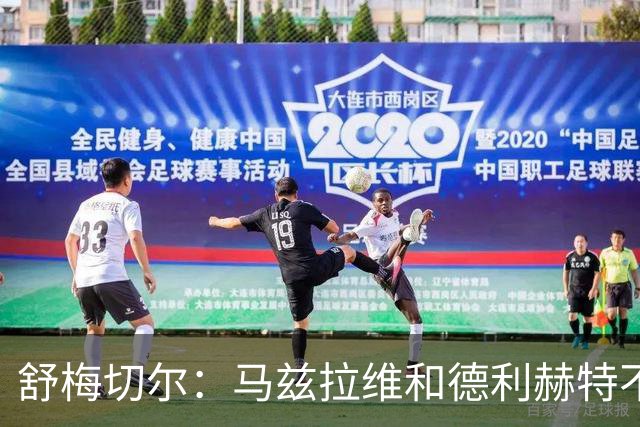 舒梅切尔：马兹拉维和德利赫特不合格，整支球队都没了血性