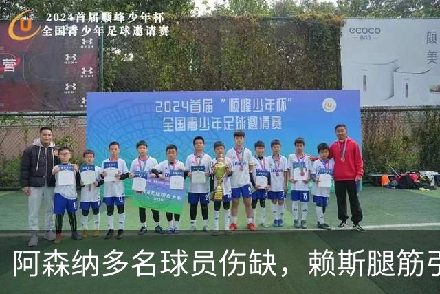 阿森纳多名球员伤缺，赖斯腿筋引担忧，有意追逐布莱顿锋线小将
