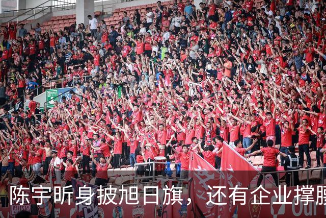 陈宇昕身披旭日旗，还有企业撑腰，汤家凤怒喊露头就打